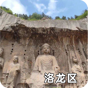洛龍區(qū)
